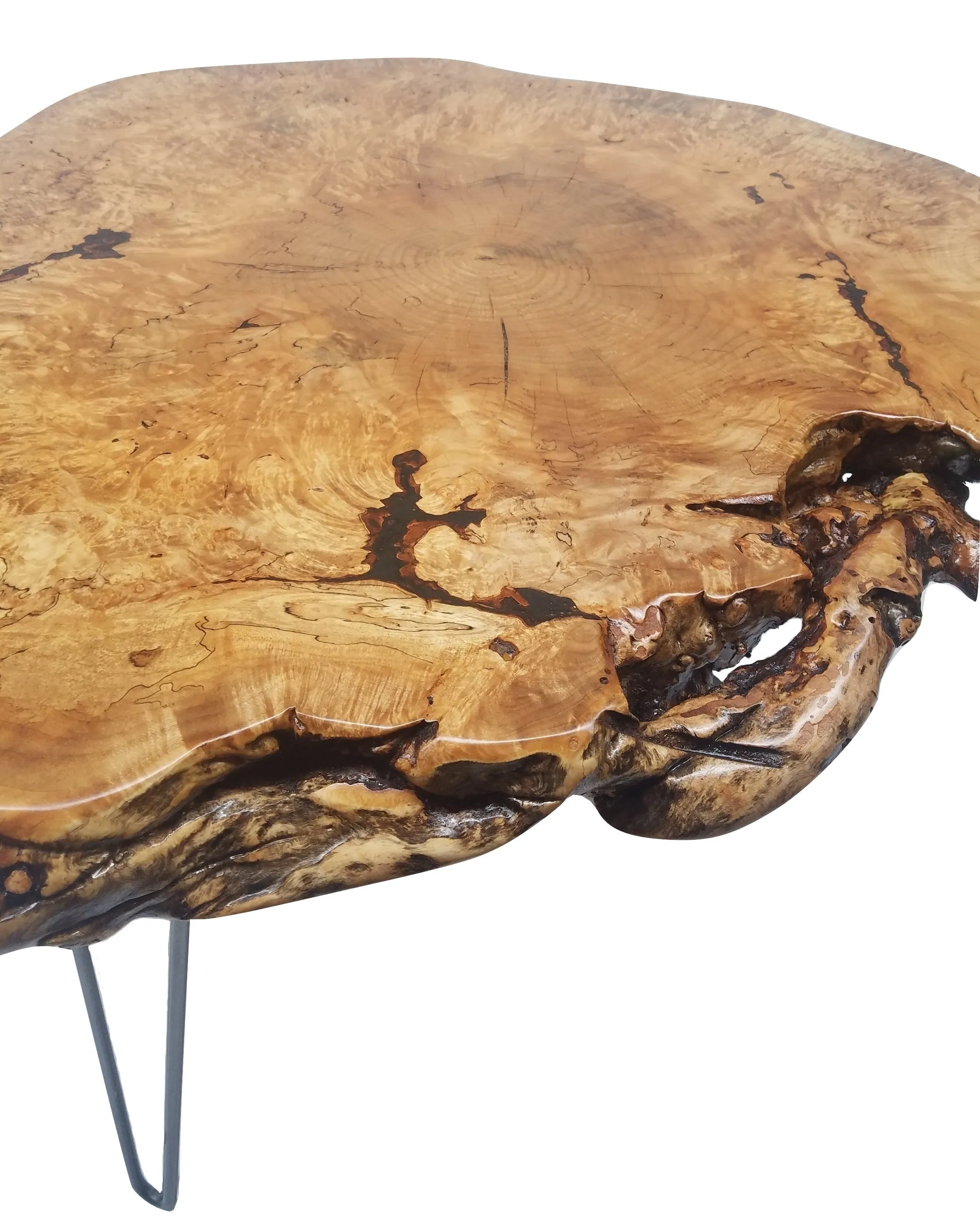 Live Edge Coffee Table- Maple Burl- Large Coffee Table- Round Coffee Table- Natural Wood- Figured Wood- Tree Slice- Big Coffee Table- Nature