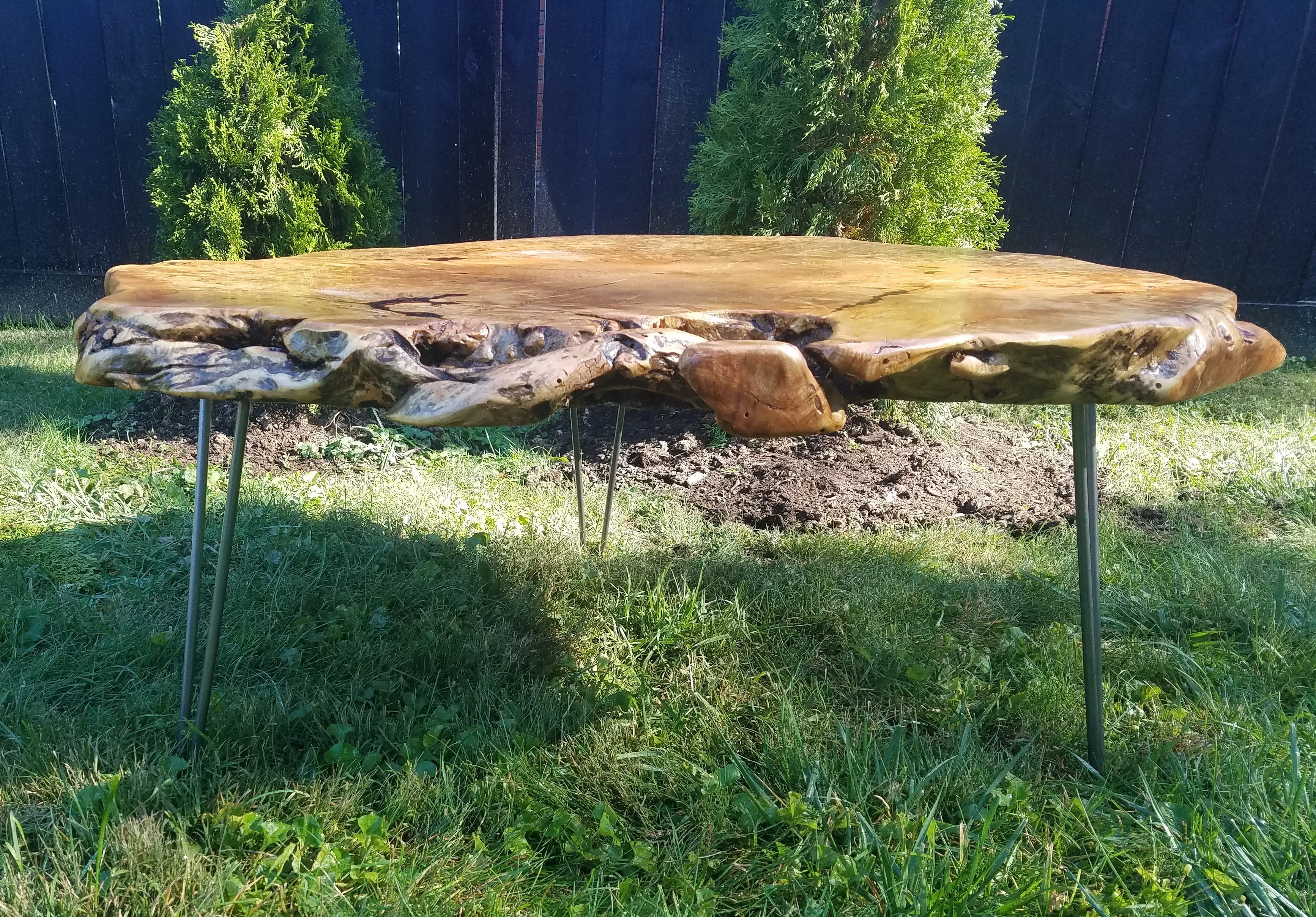 Live Edge Coffee Table- Maple Burl- Large Coffee Table- Round Coffee Table- Natural Wood- Figured Wood- Tree Slice- Big Coffee Table- Nature