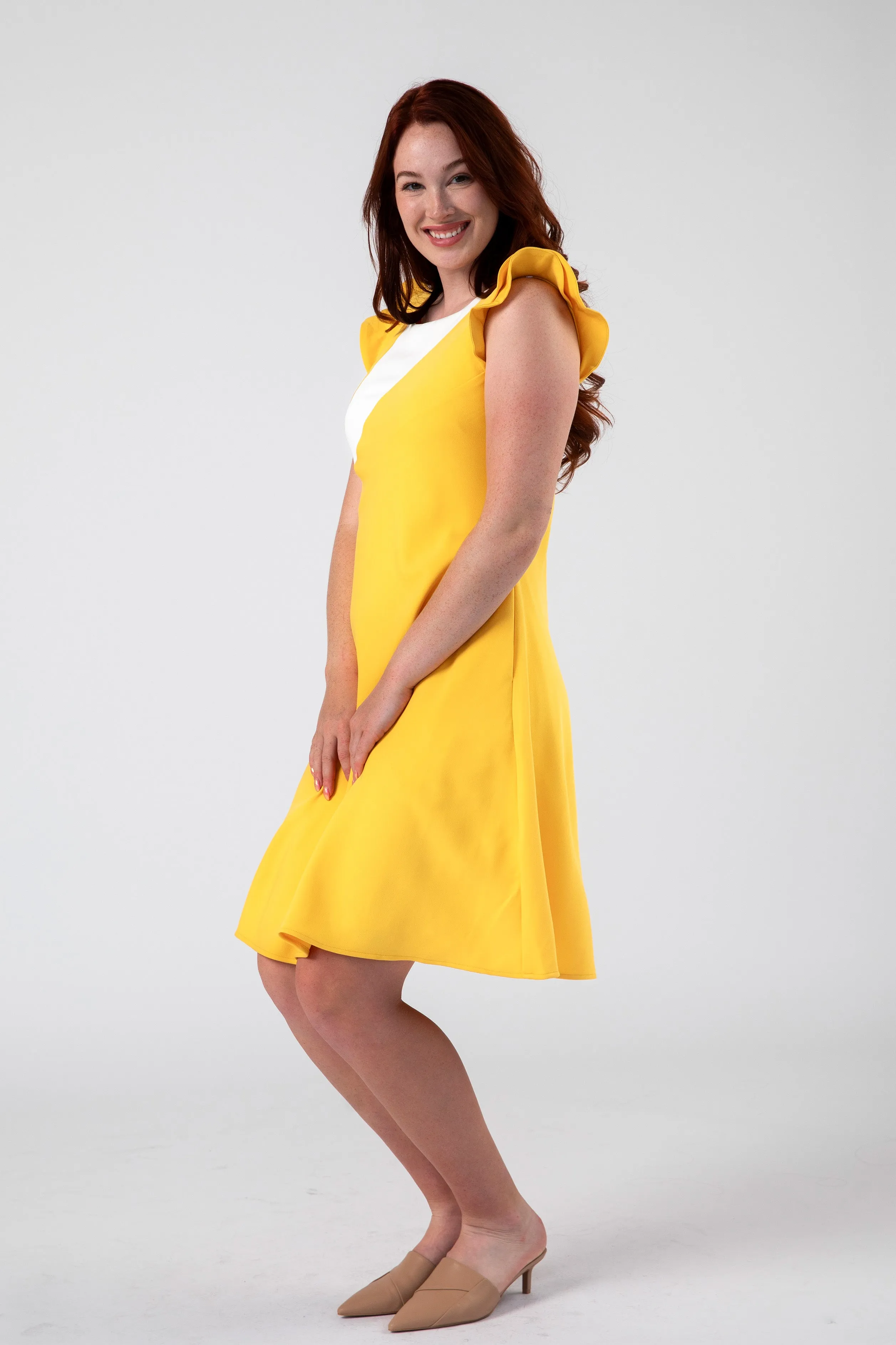 Modern Colorblock Panel Flared Dress