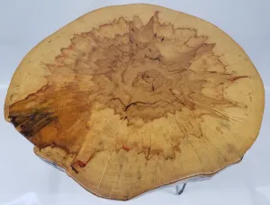 Round Coffee Table- Live Edge- Log Table- Box Elder- Flame Maple- Log Table- Slab Table- Brown- Red- Gold- Natural Wood- Slab- Thick Wood