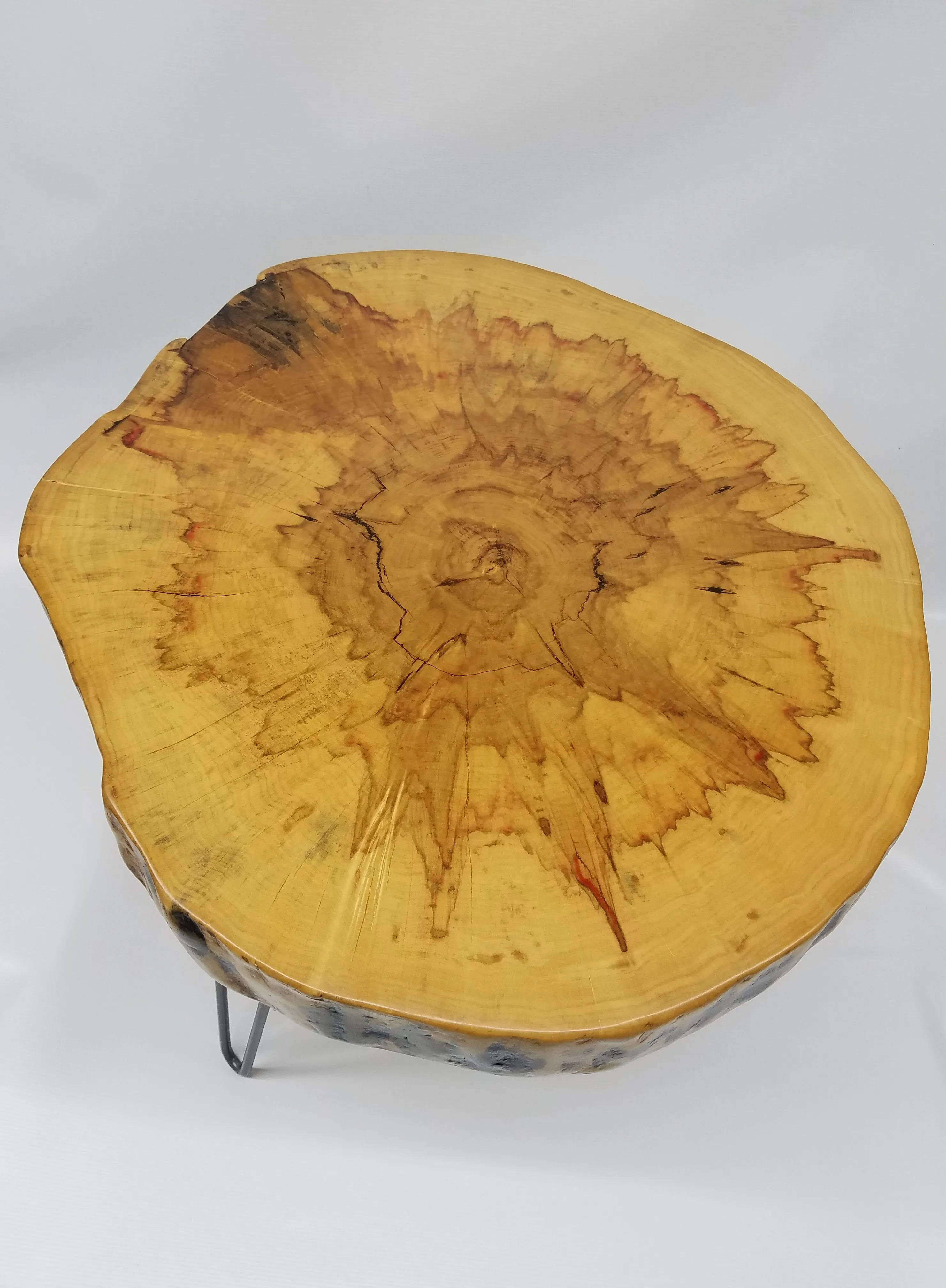 Round Coffee Table- Live Edge- Log Table- Box Elder- Flame Maple- Log Table- Slab Table- Brown- Red- Gold- Natural Wood- Slab- Thick Wood